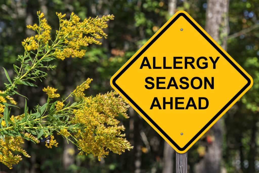 Road sign with text saying allergy season ahead